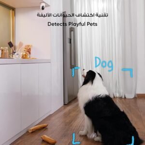 اصغر كاميرات المراقبة المنزلية